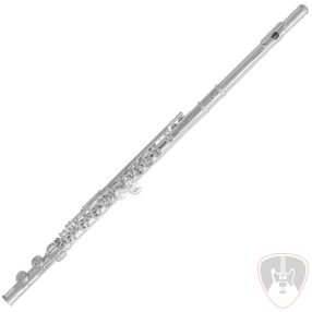 Trevor James 10x Alapmodell fuvola, zárt 