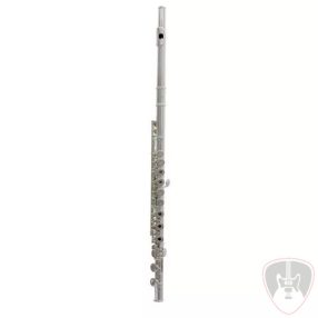  Trevor James 10x Alapmodell fuvola