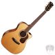 CORT AKUSZTIKUS GITÁR FISHMAN ELEKTRONIKÁVAL, FÉLKEMÉNY TOKKAL, ALL SOLID  Co-Gold-A6 with case