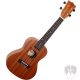 FLIGHT NUC310 Koncert ukulele