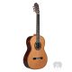 ALTAMIRA N600 Klasszikus gitár + keménytok