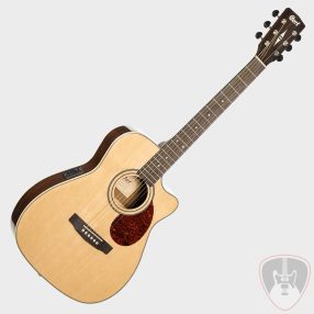 CORT AKUSZTIKUS GITÁR FISHMAN ELEKTRONIKÁVAL, NATÚR