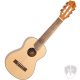 FLIGHT GUT350 SP/SAP Gitalele