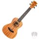 FLIGHT Elise Ecklund NAT Koncert ukulele