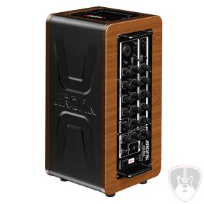 AROMA AG-60A Akusztikus gitárerősítő