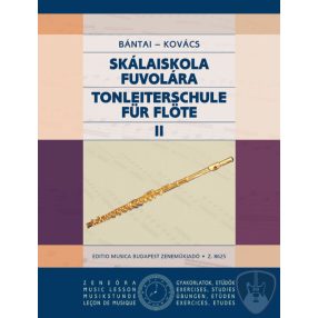 Skálaiskola fuvolára 2